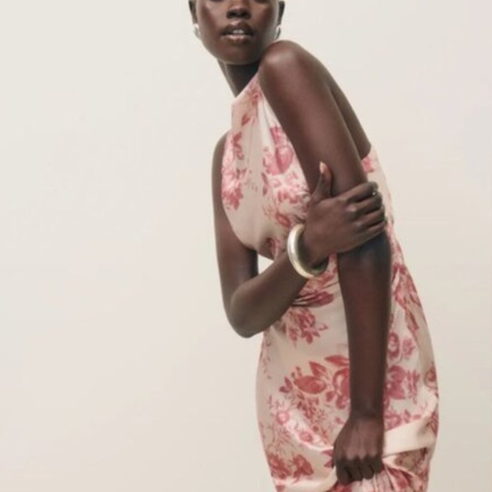 NEW Reformation Anaiis Long Silk Dress Cameo Rose Pink Cream Floral | size 4 - Picture 5 of 12